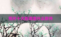 照片十大影调是什么软件