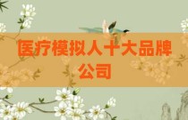 医疗模拟人十大品牌公司