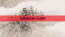 全棉毛巾被十大品牌