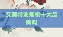 艾美特油烟机十大品牌吗