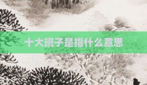 十大班子是指什么意思