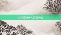 少林足球十大奖是什么