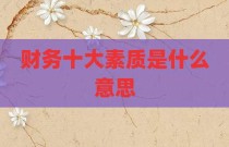 财务十大素质是什么意思