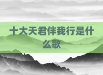 十大天君伴我行是什么歌