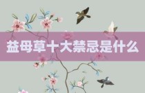 益母草十大禁忌是什么