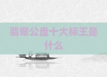 翡翠公盘十大标王是什么