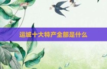 运城十大特产全部是什么