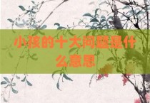 小孩的十大问题是什么意思