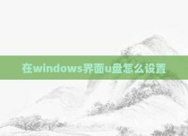 在windows界面u盘怎么设置
