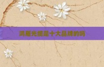 鸿雁光缆是十大品牌的吗
