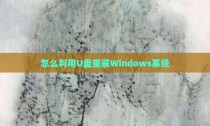 怎么利用U盘重装Windows系统