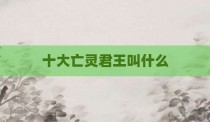 十大亡灵君王叫什么