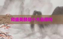 和盛美麟是十大品牌吗