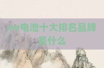 ev电池十大排名品牌是什么