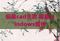 安装cad失败 需要windows组件