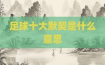 足球十大默契是什么意思