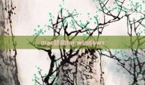 mac驱动for windows