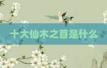 十大仙木之首是什么