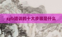 syb培训的十大步骤是什么