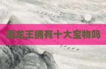 魔龙王拥有十大宝物吗