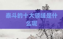 泰斗的十大领域是什么呢