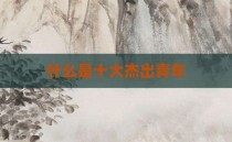 什么是十大杰出青年