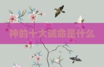 神的十大诫命是什么