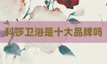 科莎卫浴是十大品牌吗