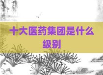 十大医药集团是什么级别