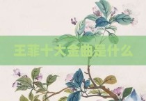 王菲十大金曲是什么