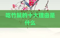 吃竹鼠的十大理由是什么