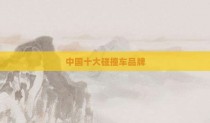 中国十大碰撞车品牌