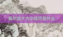 塞尔达十大小技巧是什么