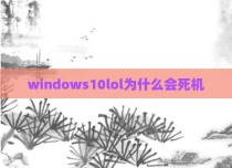 windows10lol为什么会死机