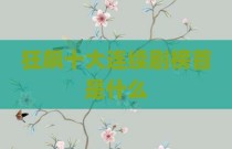 狂飙十大连续剧榜首是什么