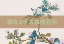 弹丸2十大技能名字