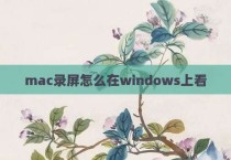 mac录屏怎么在windows上看