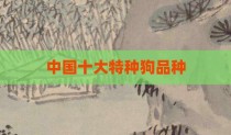 中国十大特种狗品种