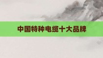 中国特种电缆十大品牌