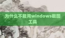 为什么不能用windows截图工具