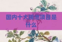 国内十大碗池项目是什么