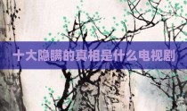 十大隐瞒的真相是什么电视剧
