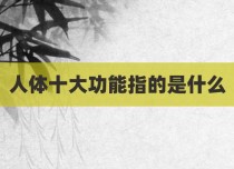 人体十大功能指的是什么