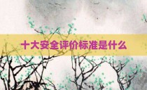 十大安全评价标准是什么
