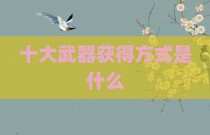 十大武器获得方式是什么