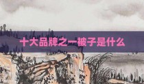 十大品牌之一被子是什么