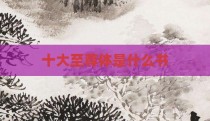 十大至尊体是什么书