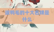 拔鸭毛的十大名牌是什么
