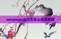 windows这几天怎么总是更新