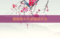 胡侦探十大武器是什么
